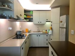 Oleander Towers (D12), Apartment #573689811